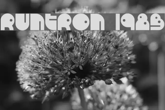 RunTron 1983 Шрифта examples