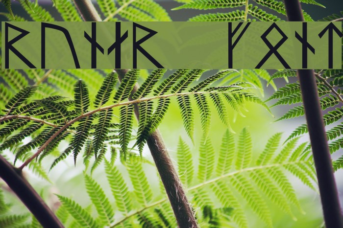 Runar Font examples