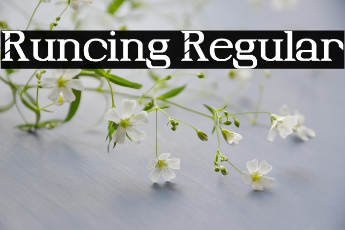 Runcing Regular Example 1