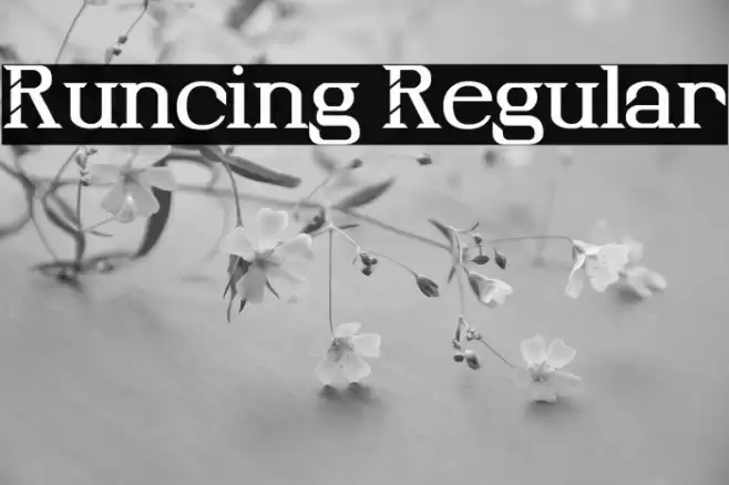 Runcing Regular Font examples