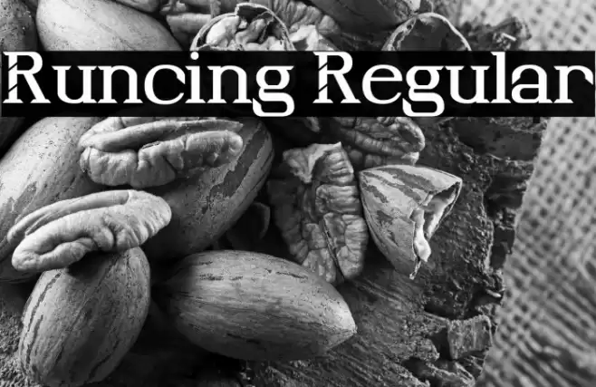 Runcing Regular Font examples