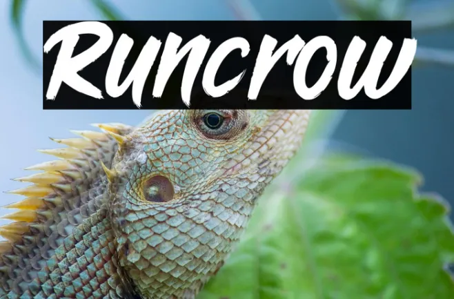 Runcrow Example 3