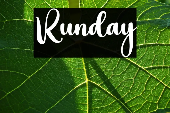 Runday Example 1