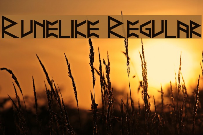 Runelike Regular Font examples