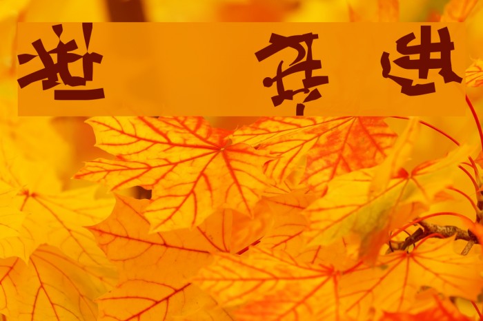 Runes of the Dragon Two Font examples