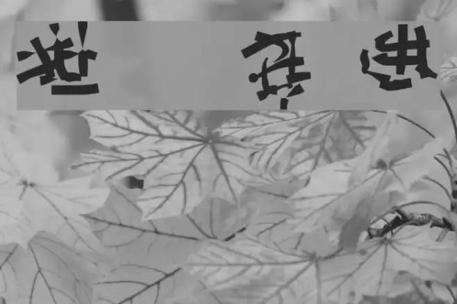 Runes of the Dragon Two Font examples