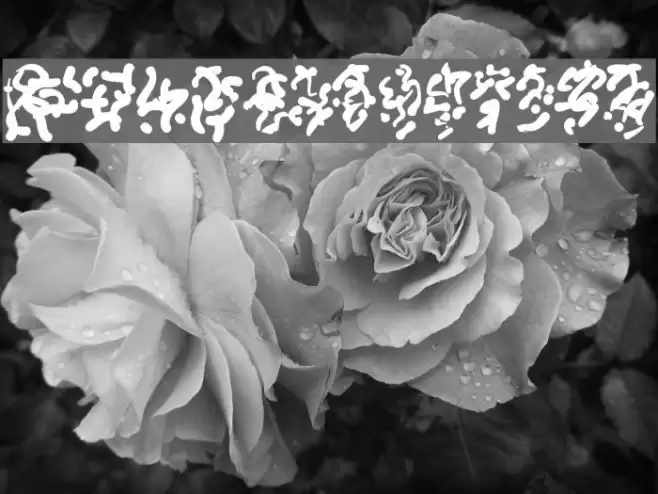 Runes of the Dragon Font examples