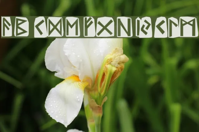 Runes Example 2