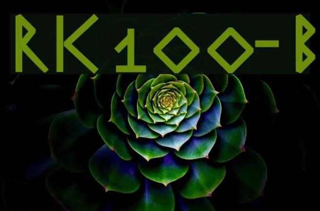 RuniK100-Bold Example 1