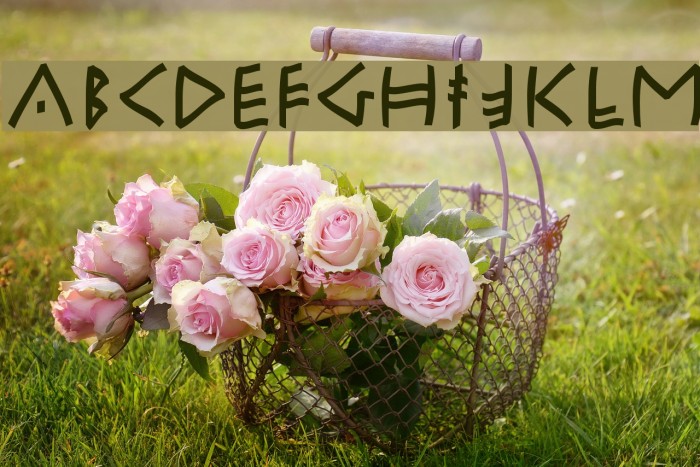 RuniKleinFreeform Example 1