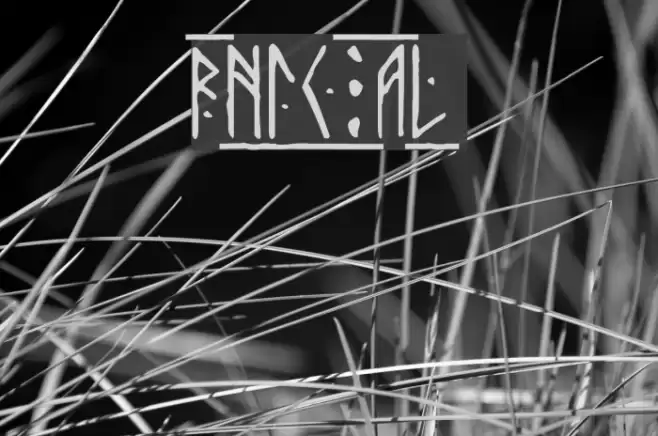 Runic Alt Font examples