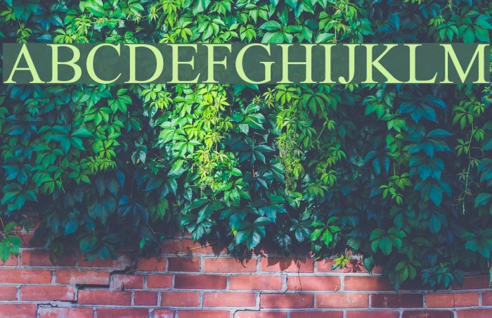 Runic Complation Normal Font examples