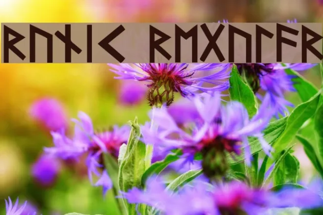Runic Regular Example 2