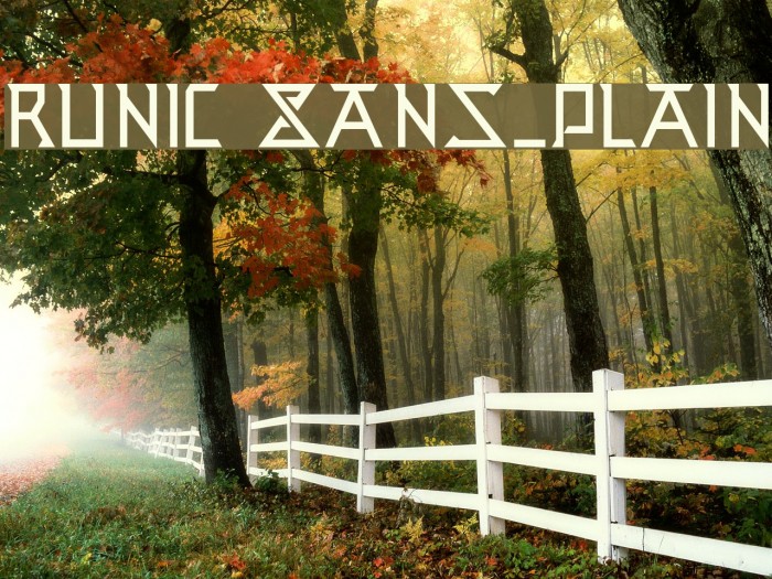 Runic Sans_Plain Example 1