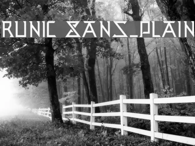 Runic Sans_Plain Font examples