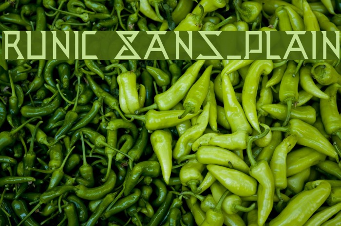 Runic Sans_Plain Example 3