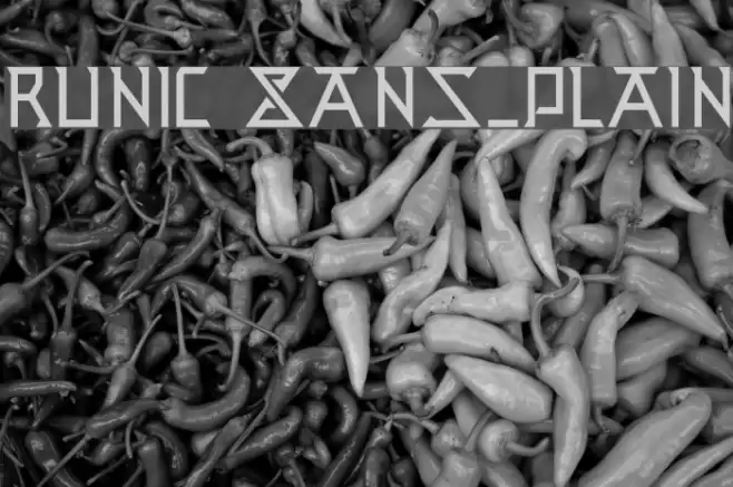 Runic Sans_Plain Font examples
