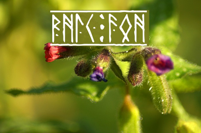 Runic Font examples