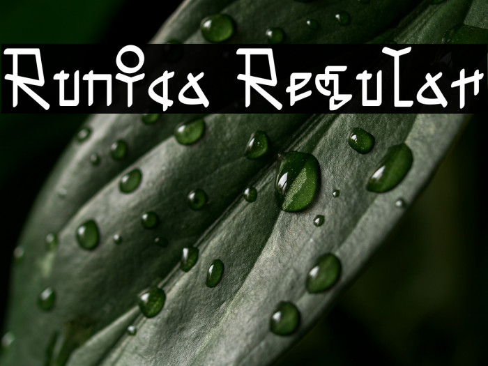 Runica Regular Example 2