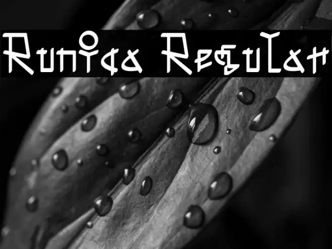Runica Regular Font examples