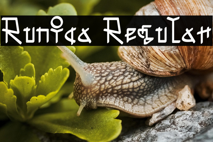 Runica Regular Example 3