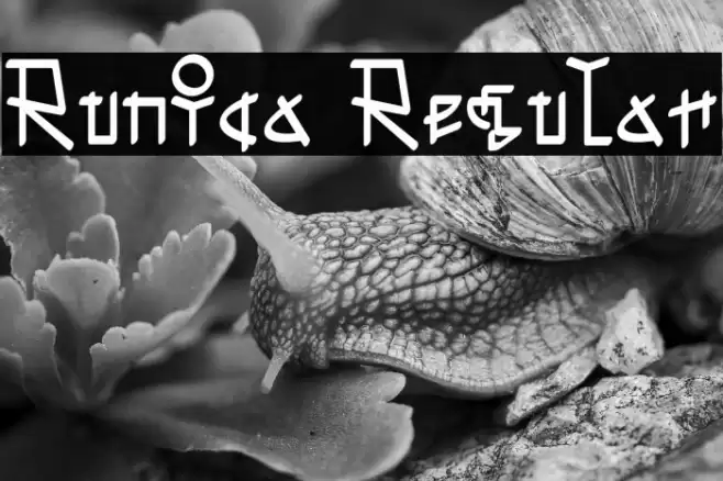 Runica Regular Font examples