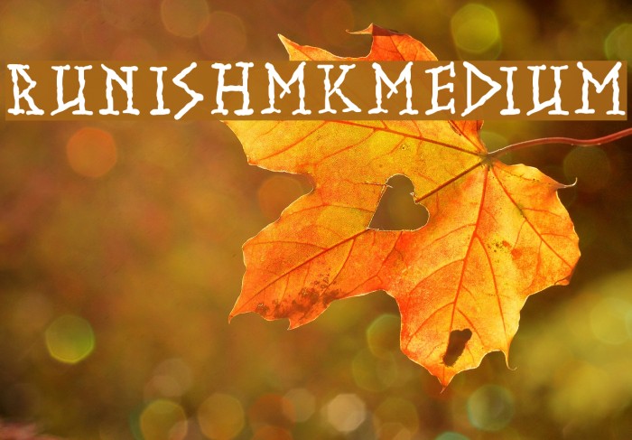 RunishMKMedium Font examples