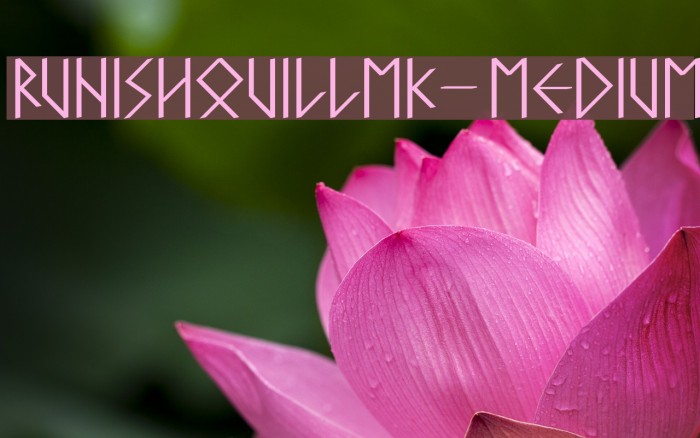 RunishQuillMK-Medium Example 1