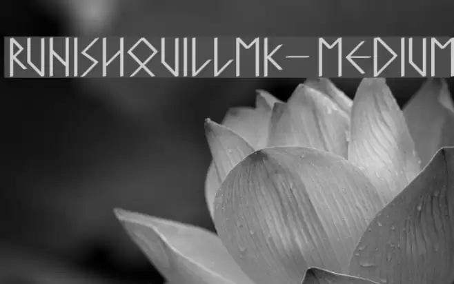 RunishQuillMK-Medium Font examples