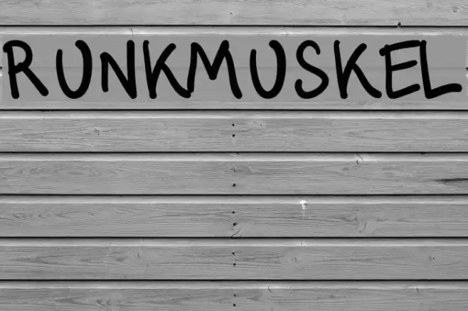Runkmuskel Font examples