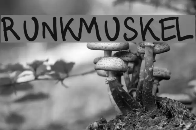 Runkmuskel Font examples