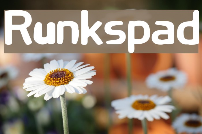 Runkspad Font examples