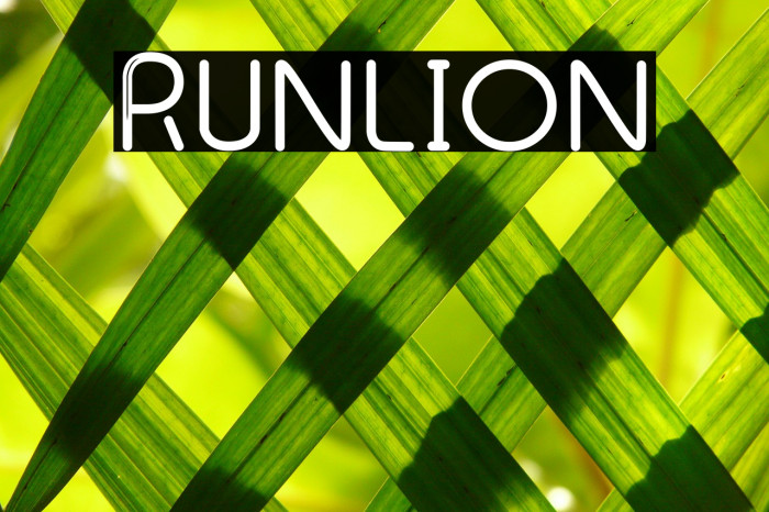 Runlion Example 1