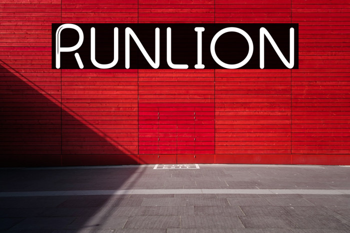 Runlion Example 2