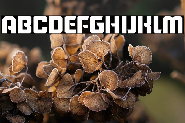 Running Back Block Example 2