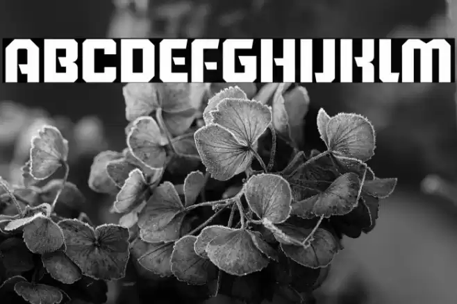 Running Back Block Font | Free Download (TTF/OTF) | FFonts.n