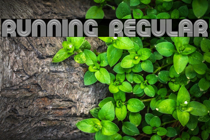 Running Regular Font examples