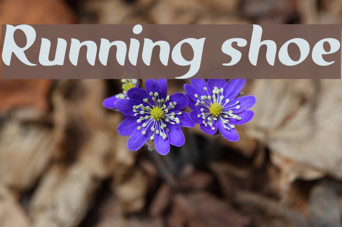 Running shoe Font examples