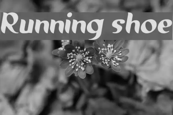 Running shoe Caratteri examples