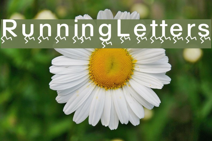 RunningLetters Font examples