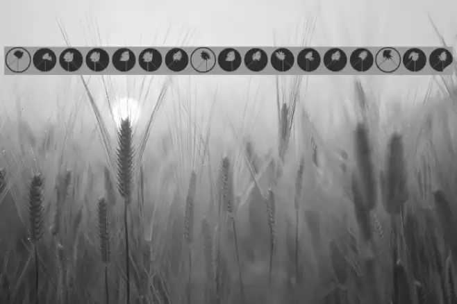 RunningZigzagsTwo Font examples