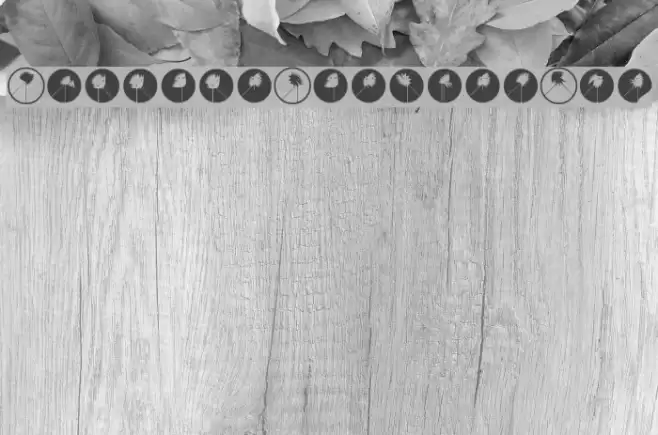 RunningZigzagsTwo Font examples