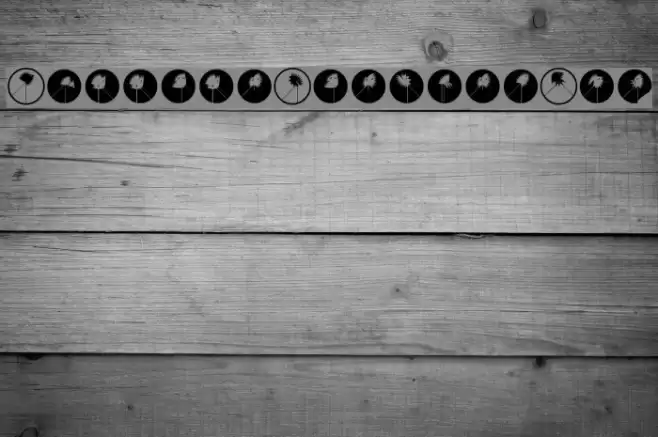 RunningZigzagsTwo Font examples