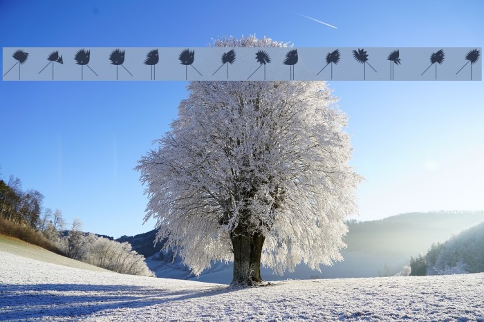 RunningZigzags Example 3