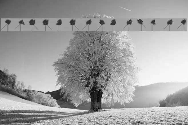 RunningZigzags Font examples