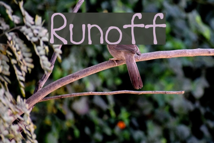 Runoff Font examples