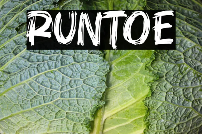 Runtoe Example 1