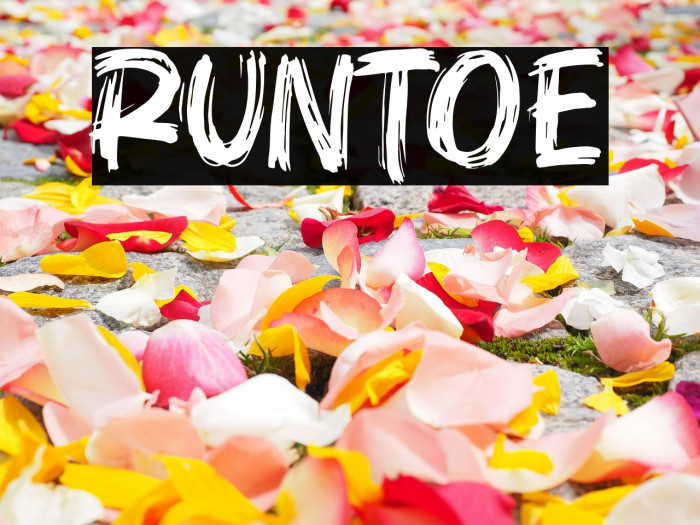 Runtoe Example 3