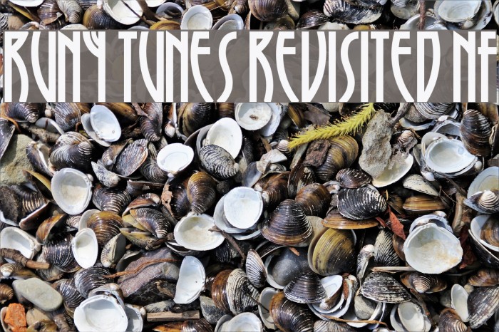 Runy Tunes Revisited NF 字体 examples