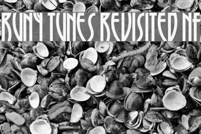 Runy Tunes Revisited NF 字体 examples